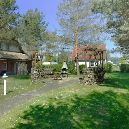 Am Gutspark Drankse Sonnenkuss *