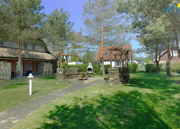 Am Gutspark Drankse Sonnenkuss *