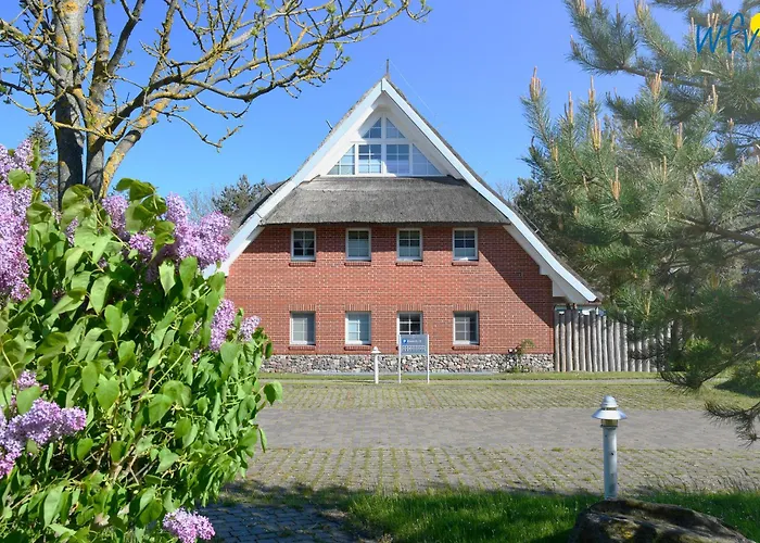 Am Gutspark Drankse Sonnenkuss * Dranske